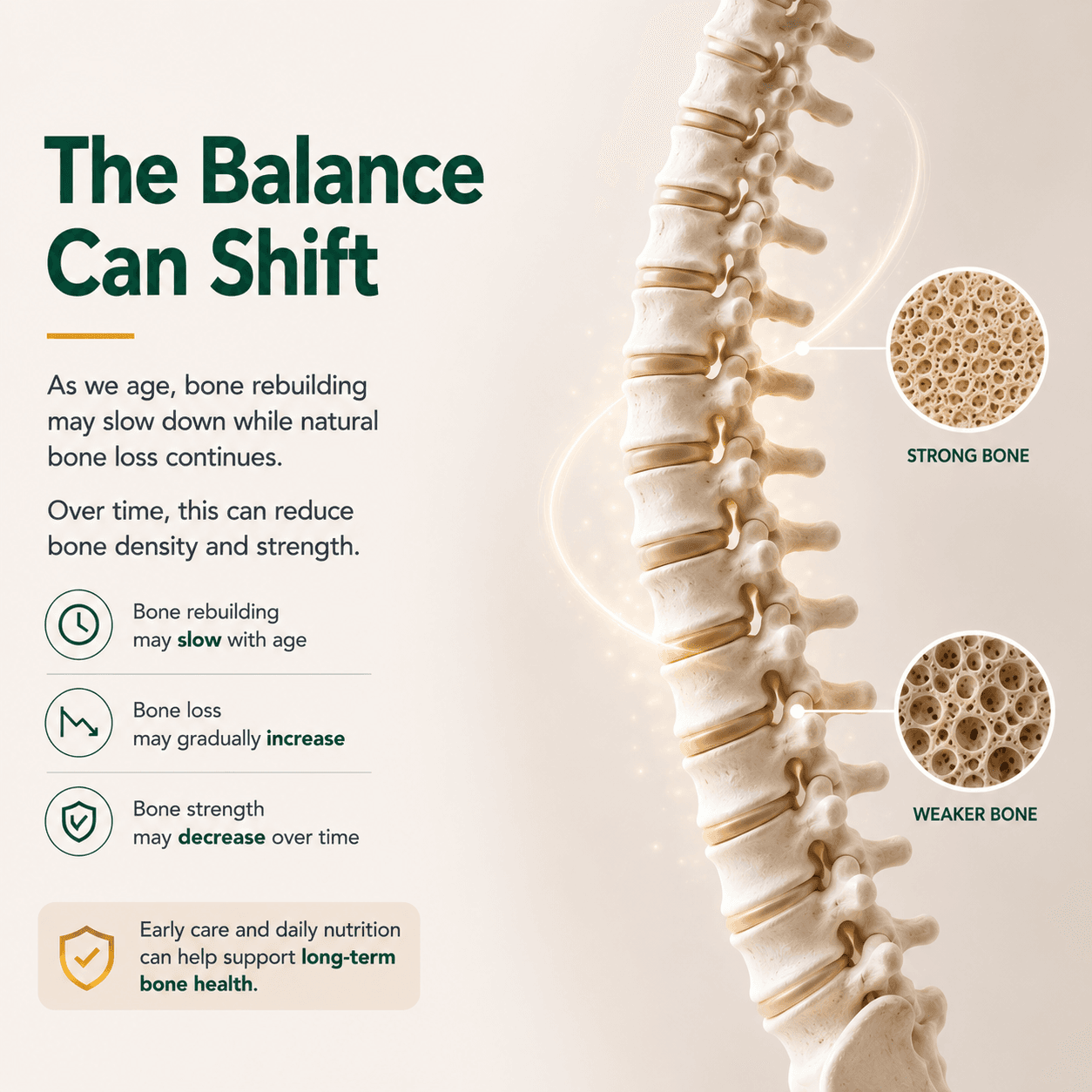 Collacose | Joint Support Tablets For Bone, Joint and Flexibility