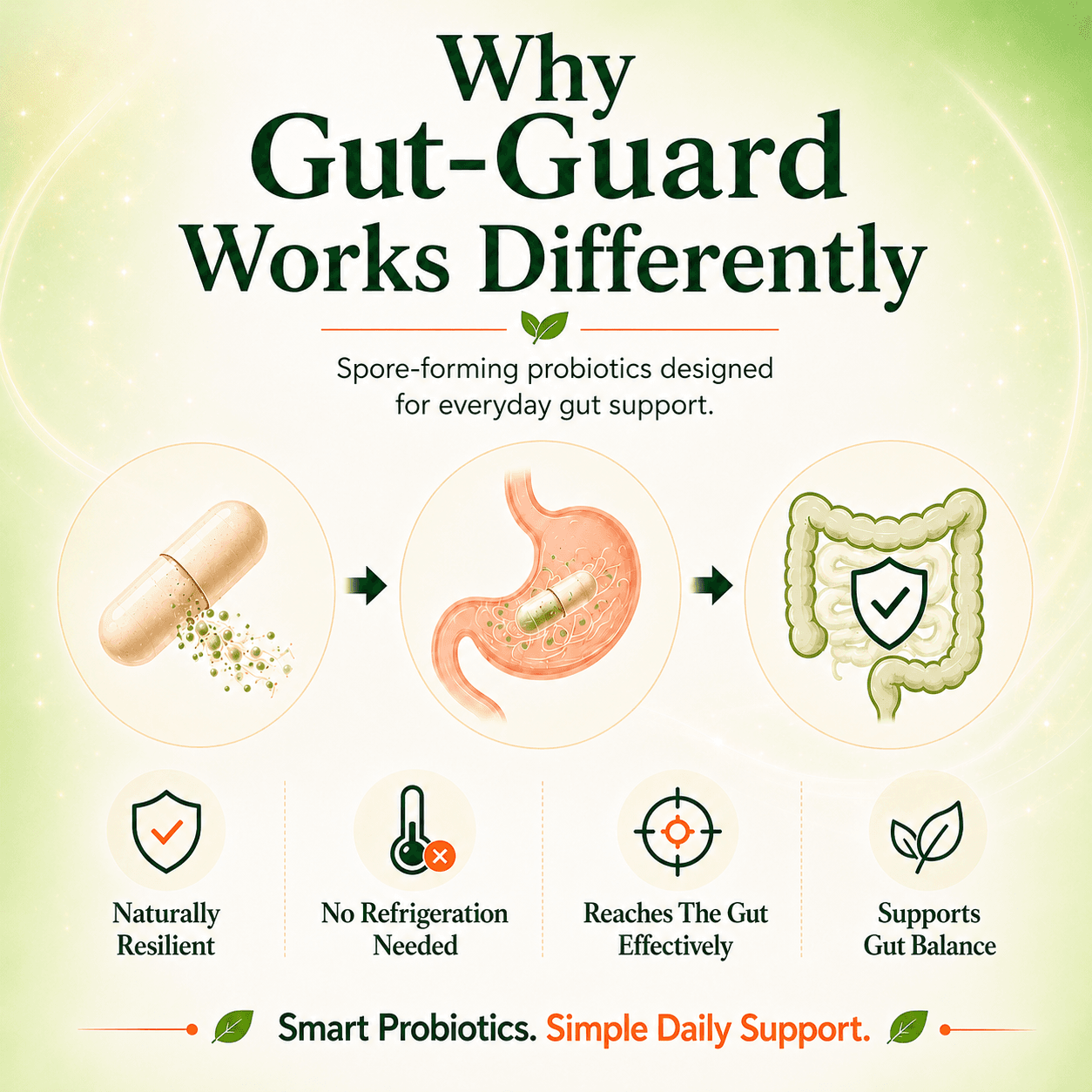 Gut-Guard | Probiotics & Prebiotics With Targeted Intestinal Delivery