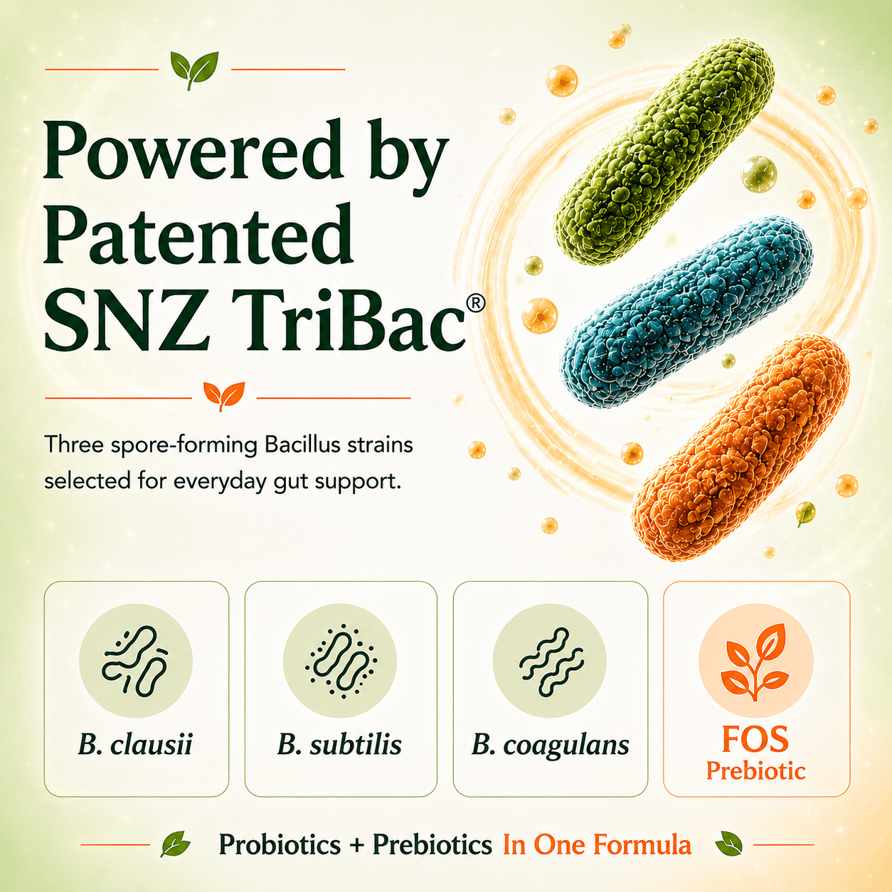 Gut-Guard | Probiotics & Prebiotics With Targeted Intestinal Delivery