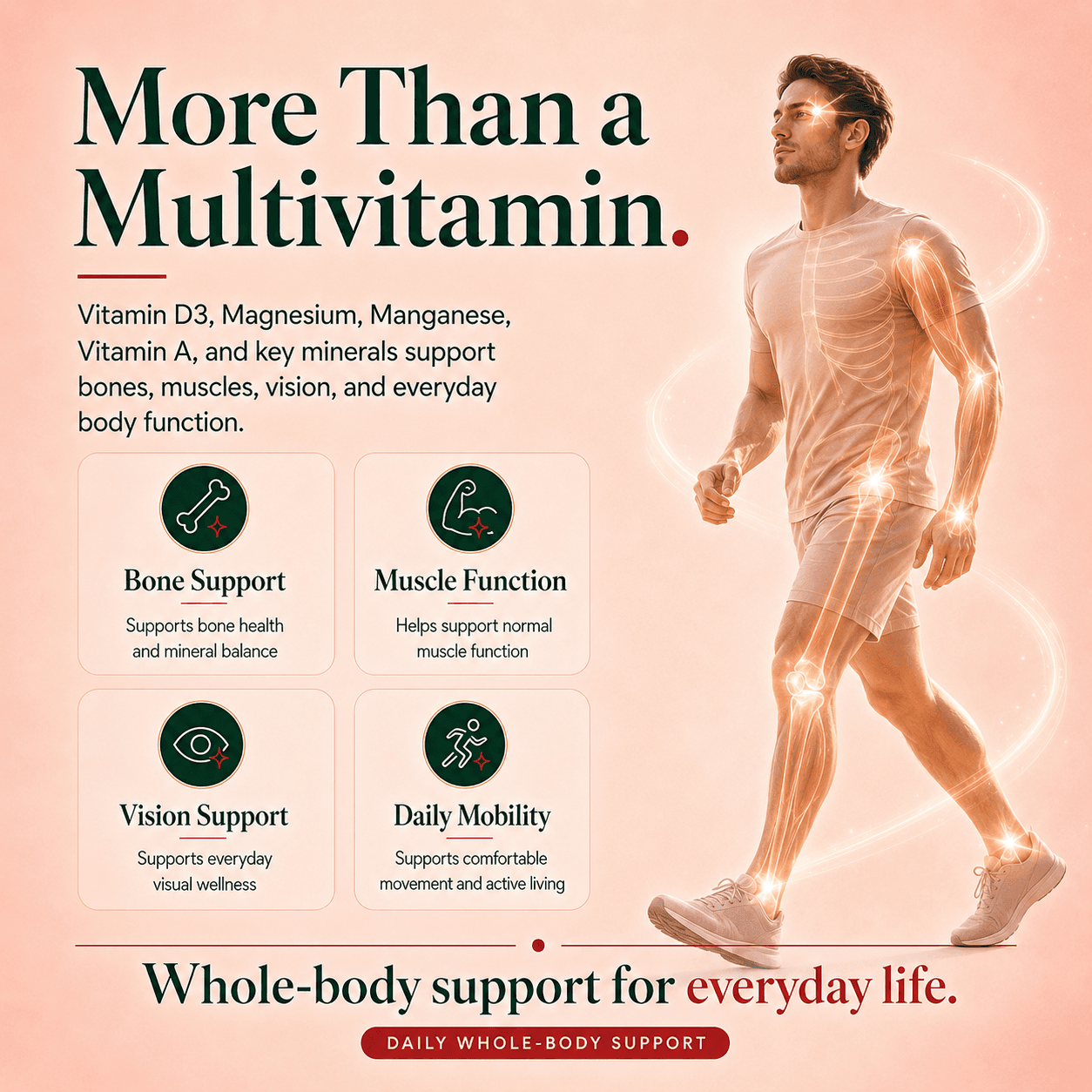 Nutrivit Plus | Supports Immune Function & Energy Metabolism