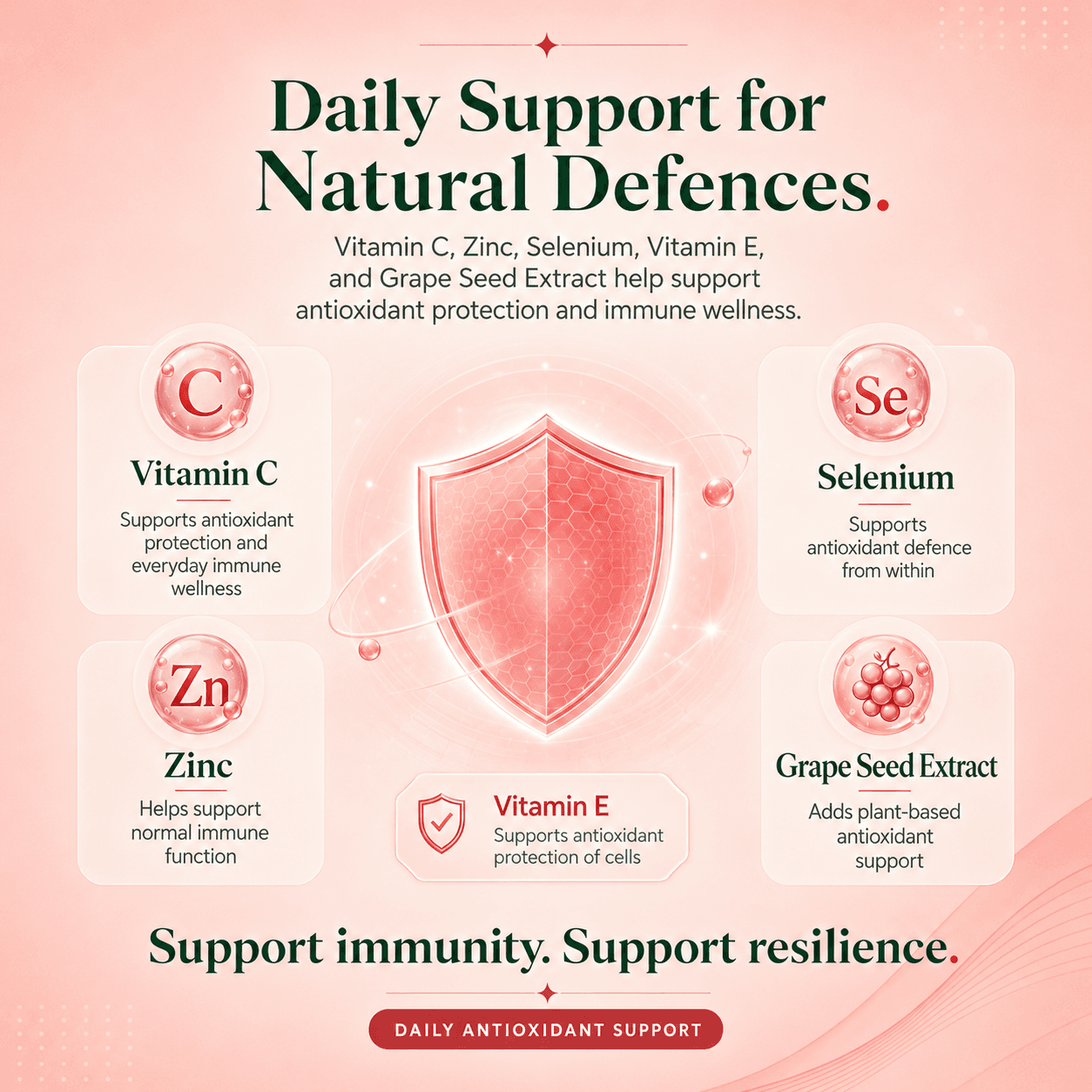 Nutrivit Plus | Supports Immune Function & Energy Metabolism