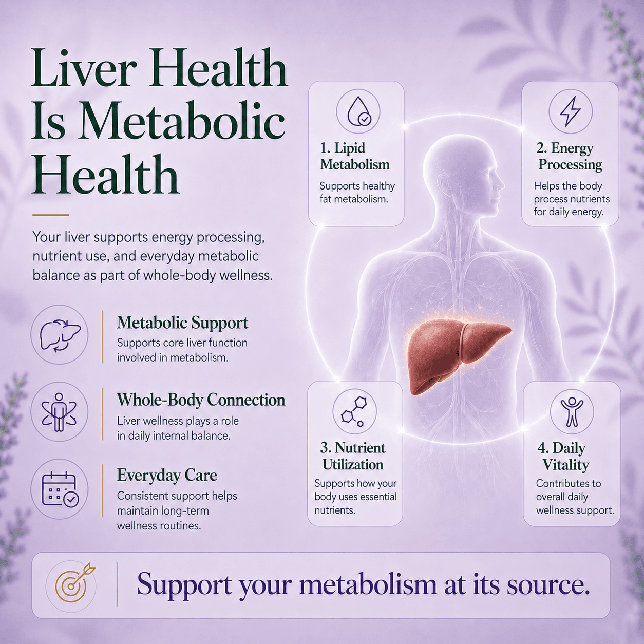 Silybeet | Supports Liver Health & Natural Detoxification